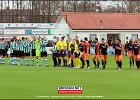 130406 SCG IJsselmeervogels (1)